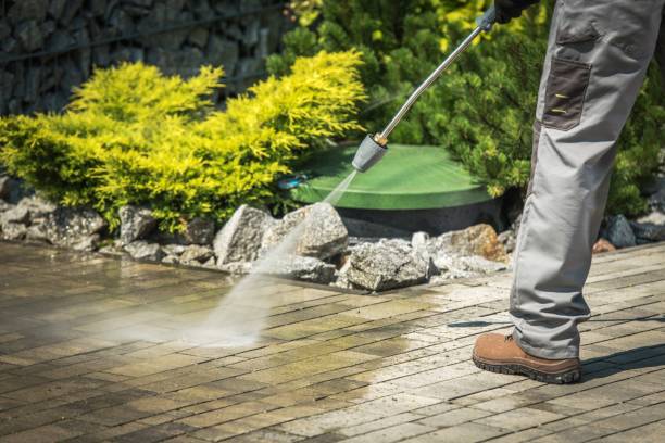 Professional Pressure Washing in Jackson, CA